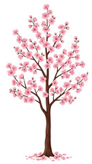 Illustration of cherry blossom tree with pink flowers in bloom