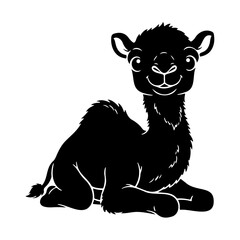 Fototapeta premium Black alpaca sitting
