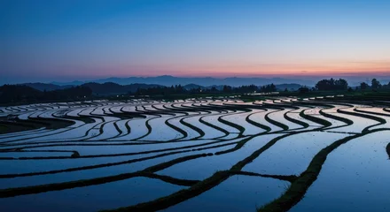Acrylglasbilder Reisfelder A serene sunrise over terraced rice paddies  © logitech