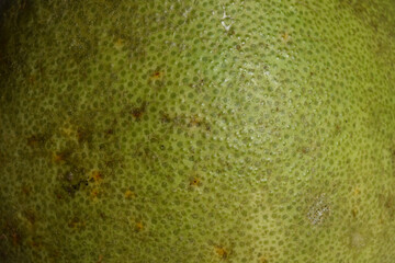 picture of pomelo skin from thailand