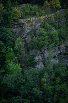 Rocky gorge wall in wilderness