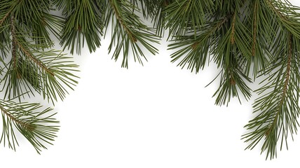 Christmas Pine Branch Border Design with Green Foliage on White Background