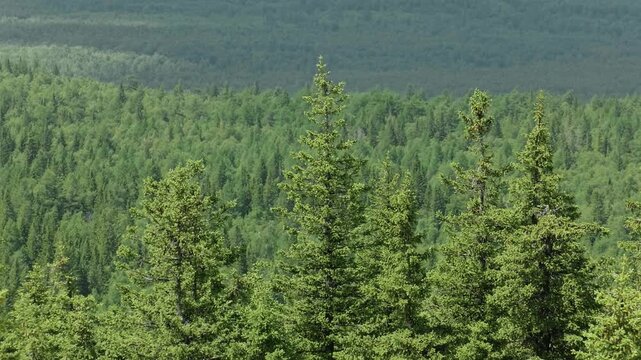 Southern Urals, Zyuratkul National Park: Mount Zyuratkul.