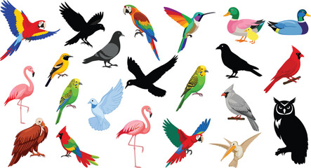Colorful bird illustration set with parrots, owls, flamingos and flying birds, detailed vector collection for wildlife, nature and animal design projects