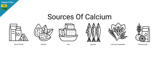 Sources of Calcium Line Icons &ndash; Dairy Products, Almonds, Tofu, Sardines, Leaf Green Vegetables and Fortified Foods.