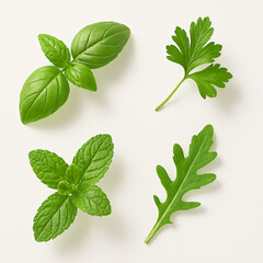 Fresh Herbs Leaves Basil Mint Parsley Arugula on White Background