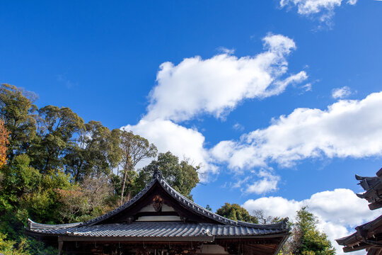 The wonderful and curious clouds background blue sky.