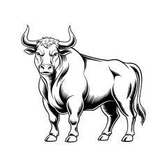 vector illustration of a bull
