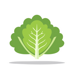 Vector Illustration of Vibrant Green Lettuce Head Ideal for Food Blog or Healthy Recipe Graphic