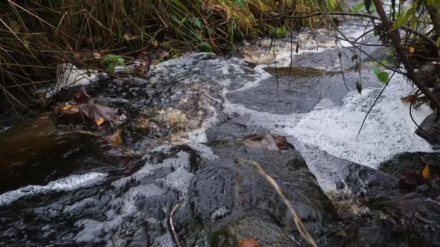 foamy stream flows with a soft murmur over the cobblestones along the banks with withered grass