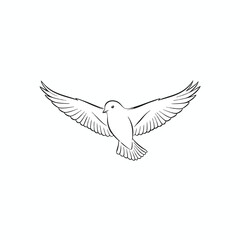 Obraz premium Simple, detailed outline of a dove in flight, wings outstretched