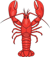 Red lobster illustration, marine crustacean seafood animal, detailed ocean creature artwork, realistic vector isolated white background design