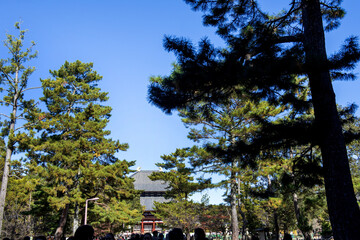 The curiouse traditional old temple Nara Japan.
