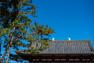 The curiouse traditional old temple Nara Japan.