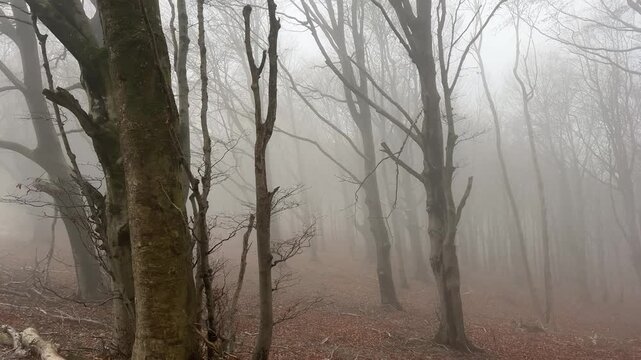 Finale Ligure Italien im November