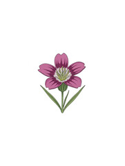 Illustration of a pink flower on a white background.