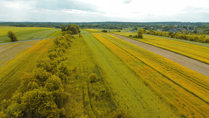 Tractor lines in green agricultural crop field aerial view