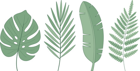 Tropical green leaves collection, flat vector illustration of monstera palm banana and fern foliage, botanical nature design elements © MSAYASHA