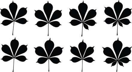 Black silhouette vector set of Chestnut or Buckeye tree leaves with five pointed leaflets isolated on white background for nature design