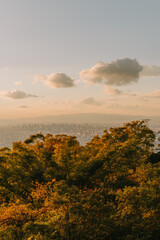Vertical Shot of Clouds and Sunset Sky Over Autumn Foliage on a Hilltop