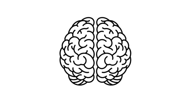 Minimalist flat vector illustration of a human brain in front view, simple symmetrical outline with clean black line art, smooth rounded curves, uniform stroke thickness. White background, centered co
