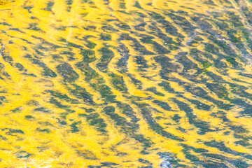 Beach shore coast water wave waves sand texture in Brazil.