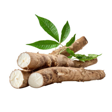 Raw Cassava Roots with Green Leaves on Black Background yuca manioc, Isolated On Black Background, Png Transparent Background, Cut Out
