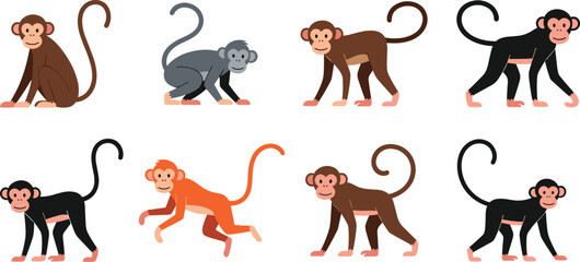 Cute cartoon monkey characters set in different poses, flat vector illustration of playful primates for children education and design © AshikCreative