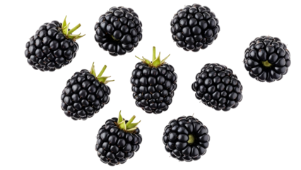 A set of fresh, ripe blackberries and other juicy summer berries isolated on PNG