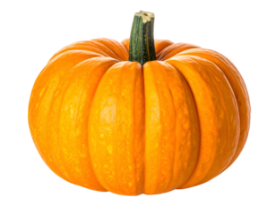 Round, vibrant orange gourd with green stem, isolated