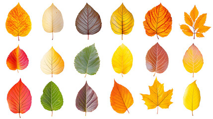 Obraz premium Collection of colorful abstract geometric shapes creating modern design background.