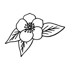 Vector black and white illustration of apple blossoms. Spring floral decor element.
