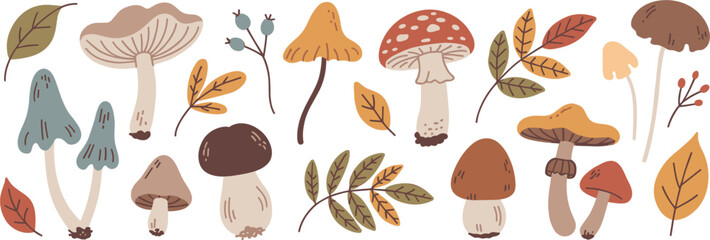 Autumn Mushroom Collection With Leaves And Berries fungi fall