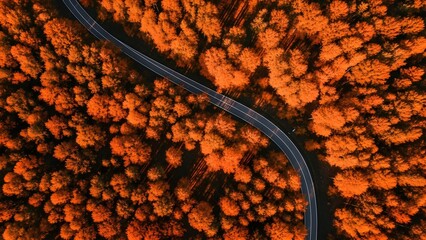 close up of a rusty metal surface