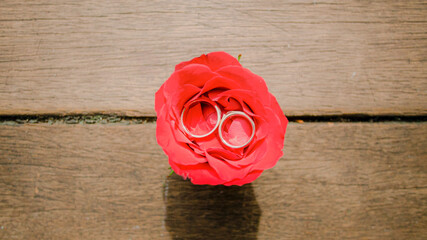 wedding rings on rose petals seen from above