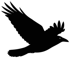 Majestic Silhouette of a Raven in Flight Against a White Background Symbol of Mystery and Freedom