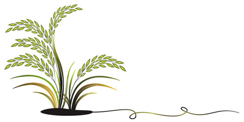 Hand drawn vector illustration of rice plant, grain. sketch. Vector