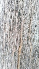 Close-up texture of weathered and aged wood grain with visible cracks and imperfections.