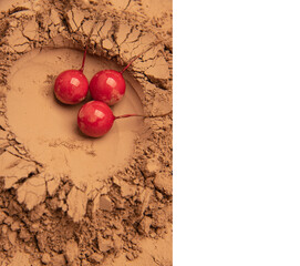 The pattern formed by clay, sand, and soil is embellished with Saint Mary's fruit props. The layout is simple, with Middle Eastern style and American Western style, relatively simple. The design inclu