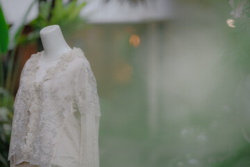 wedding dress in the garden