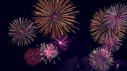 Spectacular Fireworks Display Illuminates the Night Sky with Vibrant Colors