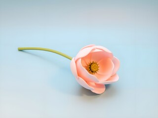 Delicate Pink Anemone Flower on Light Blue Background