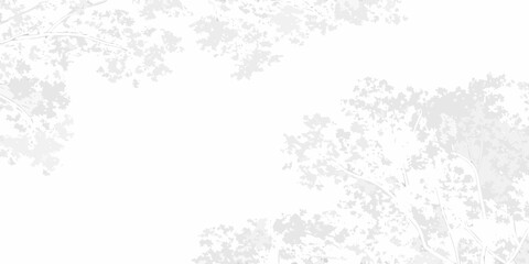 Delicate tree branches with sparse foliage against a white background