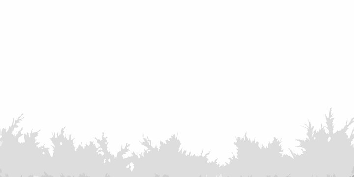 Silhouetted trees against a bright white and expansive sky backdrop