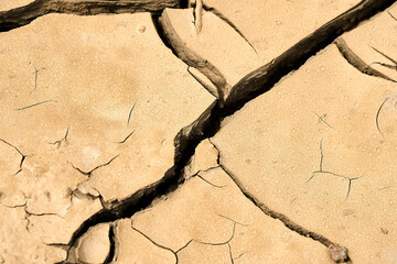 Cracked dry earth shows signs of drought