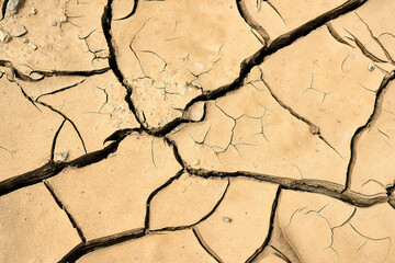 Dried earth with cracks under sunlight