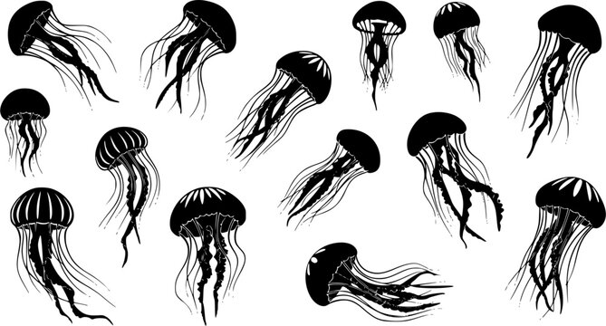 Jellyfish silhouette, Jellyfish vector illustration, Jellyfish, Jellyfish icon set, Jellyfish clipart, Jellyfish silhouette bundle set