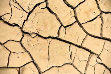 Dried earth with cracks in sunlight