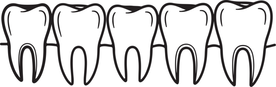 A row of five tooth connected by horizontal lines, representing a dental arch or sequence teeth dentistry also transparent background