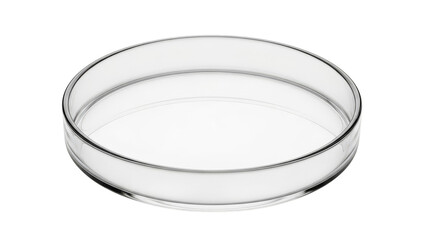 Empty Glass Petri Dish Isolated On Black Background